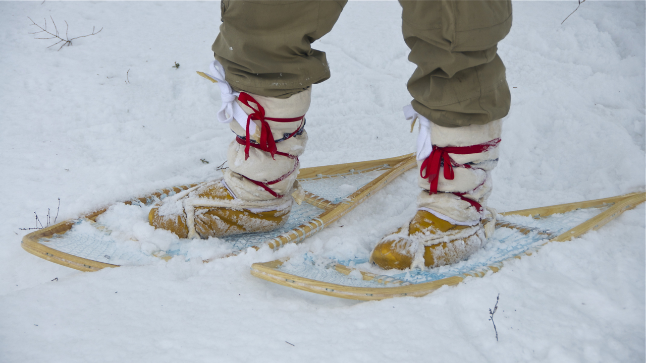 Traditional Snowshoes W Monoline Weave Lure Of The North